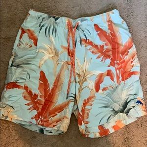 Tommy bahama swimsuit
